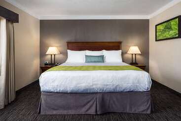 هتل Best Western Plus Landmark Inn