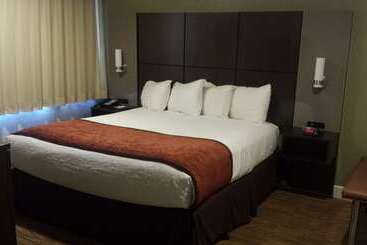 هتل Best Western Pony Soldier Inn & Suites
