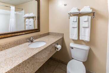 هتل Quality Inn & Suites Downtown