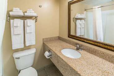 هتل Quality Inn & Suites Downtown