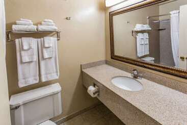 هتل Quality Inn & Suites Downtown