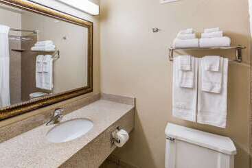 هتل Quality Inn & Suites Downtown