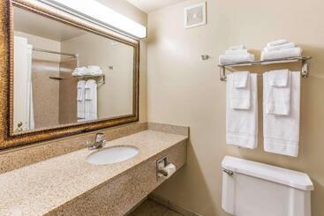 هتل Quality Inn & Suites Downtown