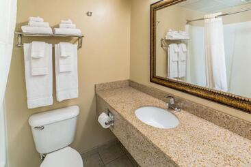 هتل Quality Inn & Suites Downtown