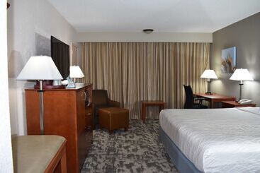 Отель Oasis Boca Raton