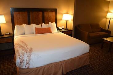 هتل Best Western Wichita North