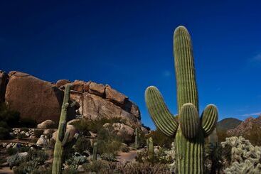 هتل Boulders Resort & Spa Scottsdale, Curio Collection By Hilton