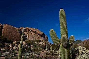 هتل Boulders Resort & Spa Scottsdale, Curio Collection By Hilton