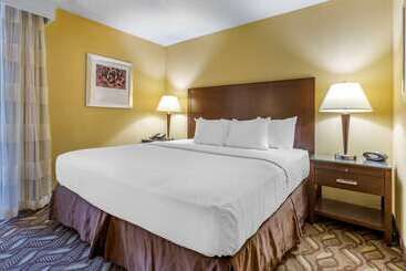 호텔 Clarion Inn & Suites