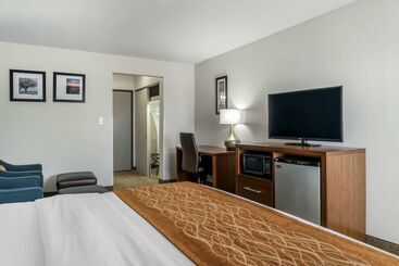 هتل Comfort Inn East