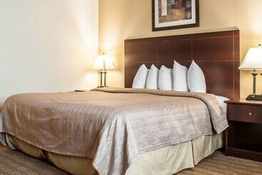 هتل Quality Inn Airport