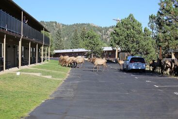 هتل Quality Inn Near Rocky Mountain National Park