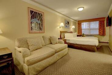 هتل Senator Inn & Spa