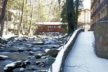 Resort Brookside Lodge