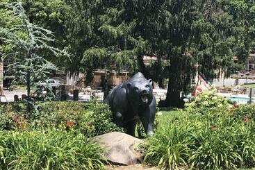 Resort Brookside Lodge