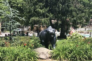Resort Brookside Lodge