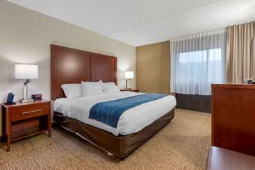 هتل Comfort Inn Binghamton I81