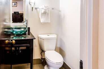 هتل Comfort Inn Downtown Charleston