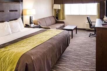 هتل Comfort Inn Downtown Charleston
