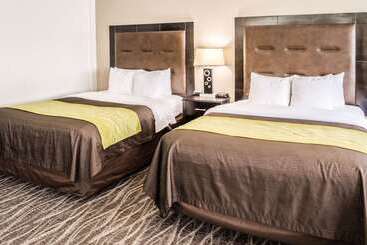 هتل Comfort Inn Downtown Charleston