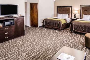 هتل Comfort Inn Downtown Charleston