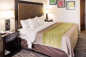 هتل Comfort Inn Downtown Charleston