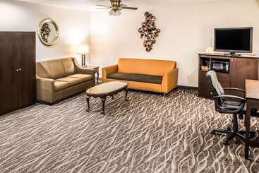 هتل Comfort Inn Downtown Charleston
