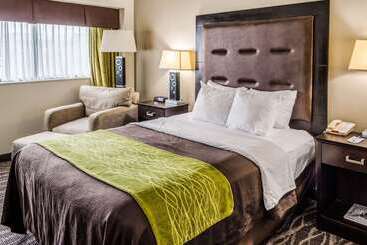 هتل Comfort Inn Downtown Charleston