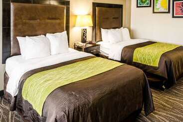 هتل Comfort Inn Downtown Charleston
