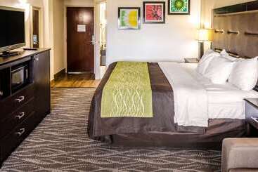 هتل Comfort Inn Downtown Charleston
