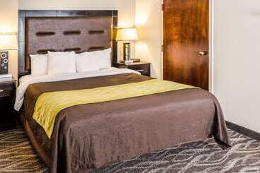 هتل Comfort Inn Downtown Charleston