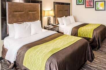 هتل Comfort Inn Downtown Charleston