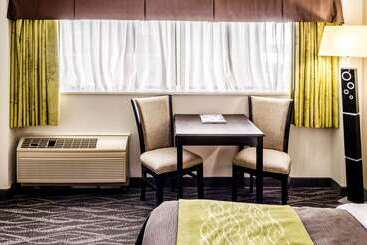 هتل Comfort Inn Downtown Charleston