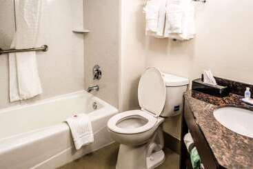 هتل Comfort Inn Downtown Charleston