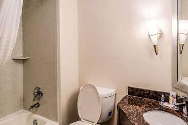 هتل Comfort Inn Downtown Charleston
