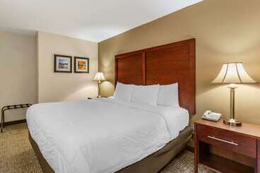ホテル Comfort Inn Foxboro – Mansfield