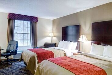 ホテル Comfort Inn Foxboro – Mansfield