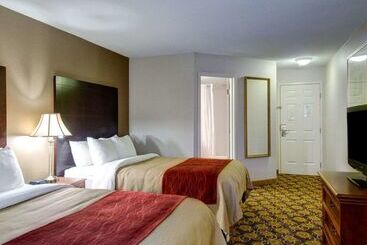 ホテル Comfort Inn Foxboro – Mansfield