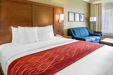هتل Comfort Inn & Suites San Francisco Airport North