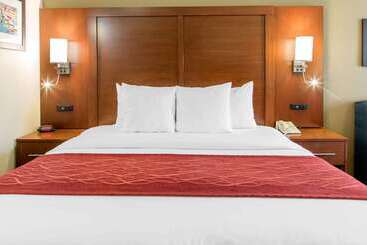 هتل Comfort Inn & Suites San Francisco Airport North
