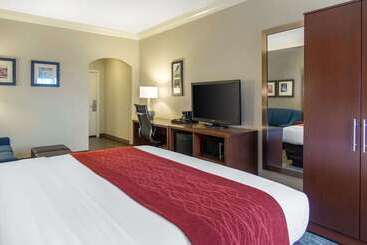 هتل Comfort Inn & Suites San Francisco Airport North