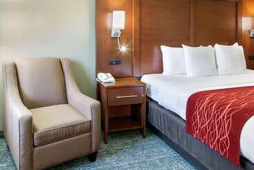 هتل Comfort Inn & Suites San Francisco Airport North