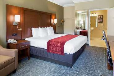 هتل Comfort Inn & Suites San Francisco Airport North