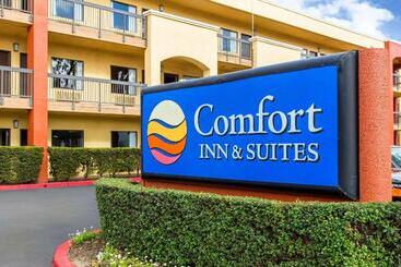 هتل Comfort Inn & Suites San Francisco Airport North