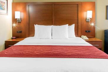 هتل Comfort Inn & Suites San Francisco Airport North