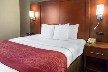 هتل Comfort Inn & Suites San Francisco Airport North
