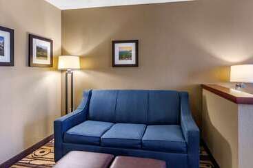 هتل Comfort Inn & Suites