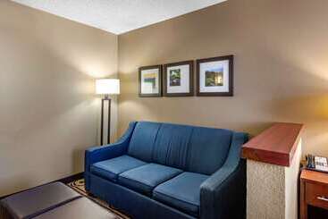 هتل Comfort Inn & Suites