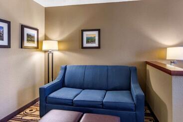 هتل Comfort Inn & Suites