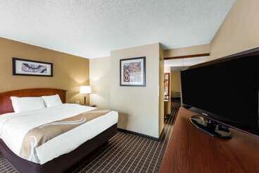 酒店 Quality Inn & Suites Sevierville  Pigeon Forge